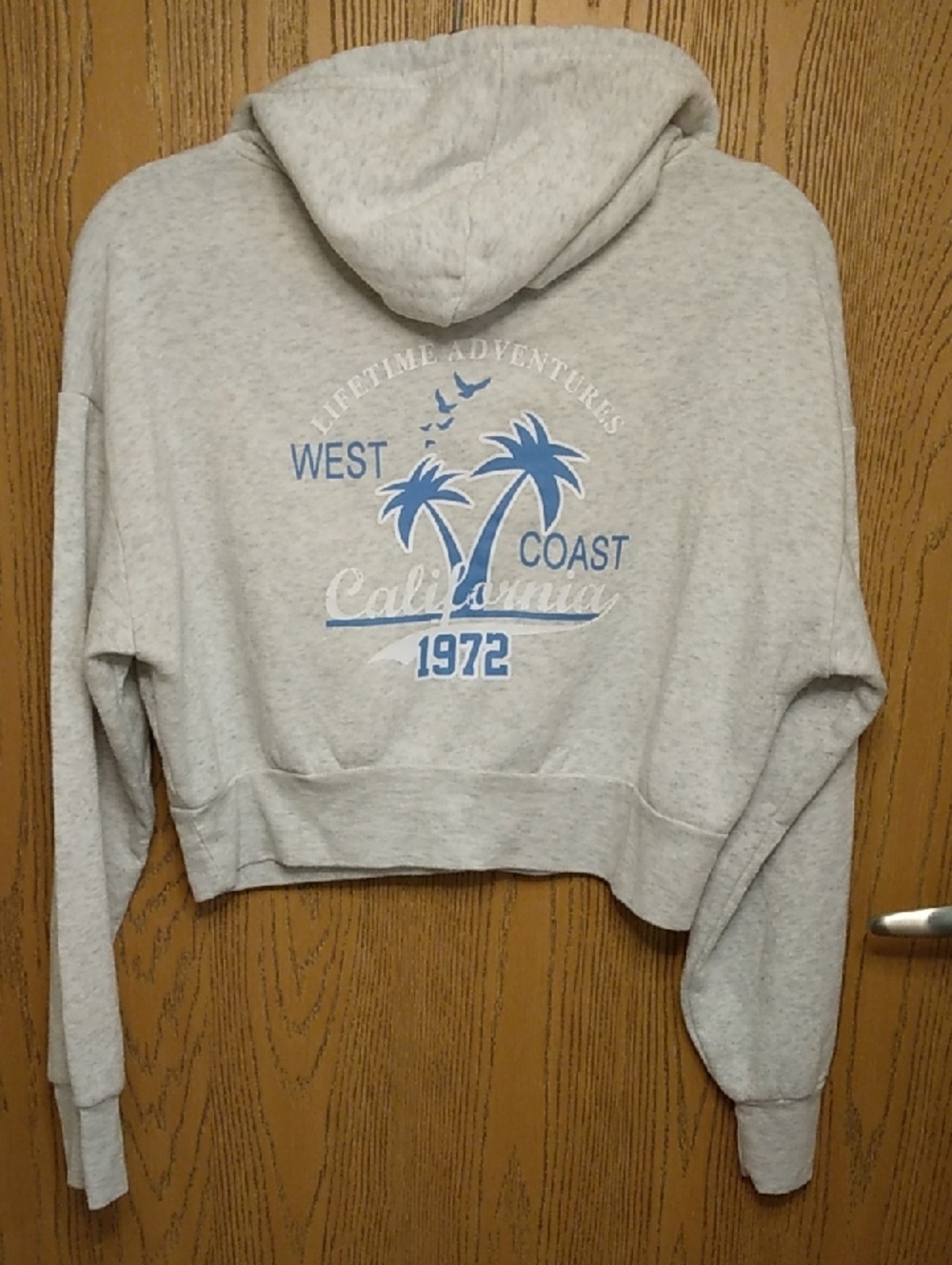 California Graphic Cropped Hooded Sweatshirt Light Gray and Blue - Picture 2 of 7